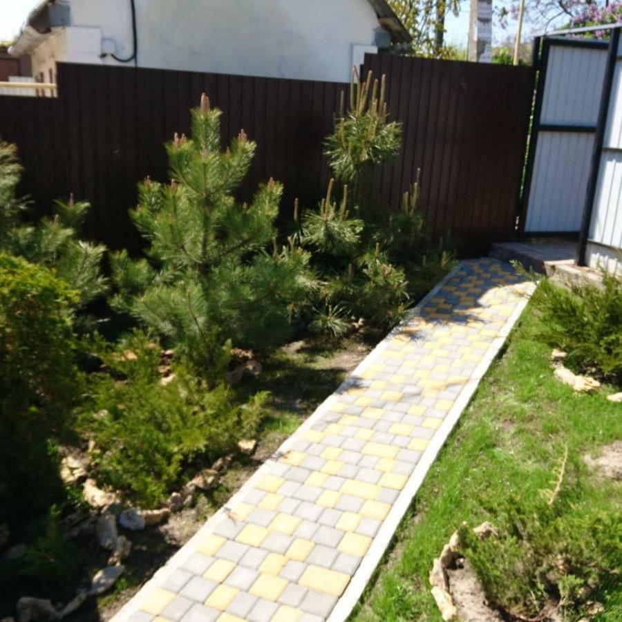 Guest House Dacha 卡罗利诺-布加兹 外观 照片